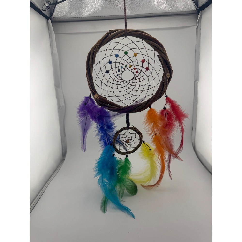 Rainbow Feather Dreamcatcher‎ Grapevine Wall Hanging Boho Decor Beaded 12 Inch